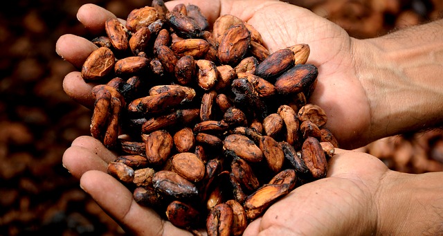SE CATAPULTA DE NUEVO EL PRECIO DEL CHOCOLATE GRACIAS A DISPARADA DEL COSTO DEL CACAO