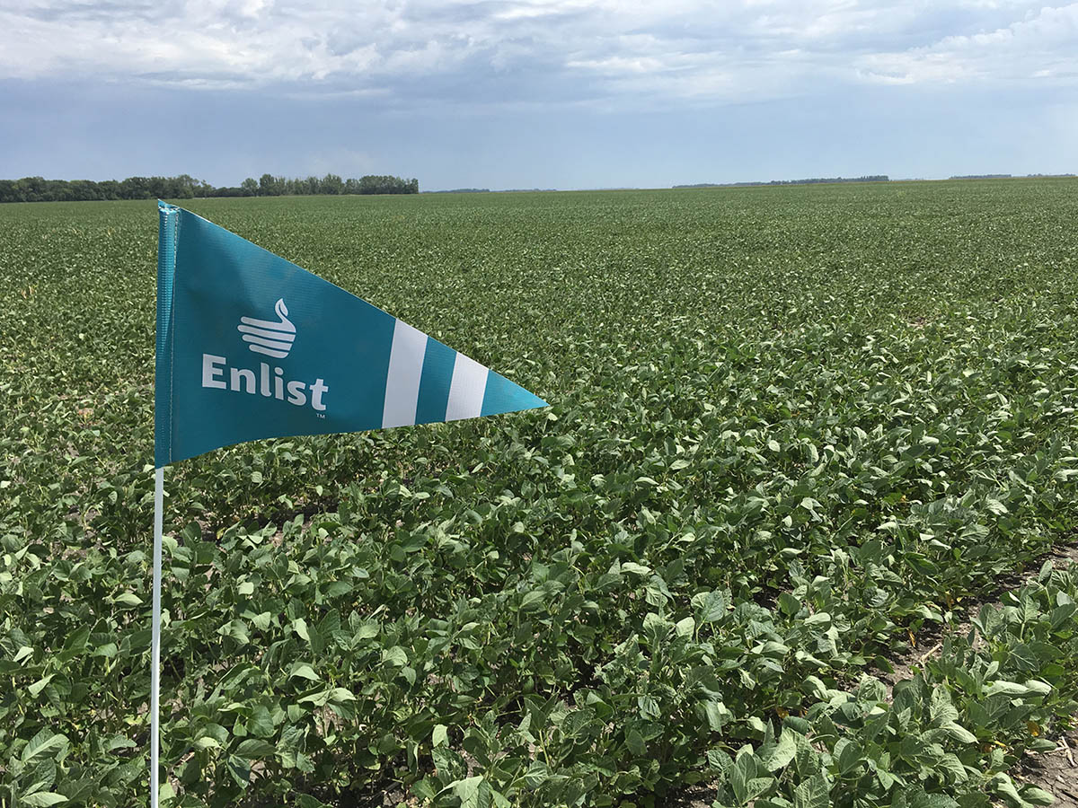 LA APROBACIÓN POR PARTE DE CHINA DE LA SOJA DOWDUPONT SUPONE UN RETO PARA BAYER