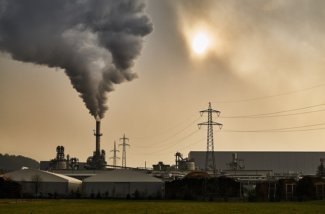 ESTADOS UNIDOS ESTARÁ DE VUELTA EN ACUERDO CLIMÁTICO DE PARÍS Y LA OMS