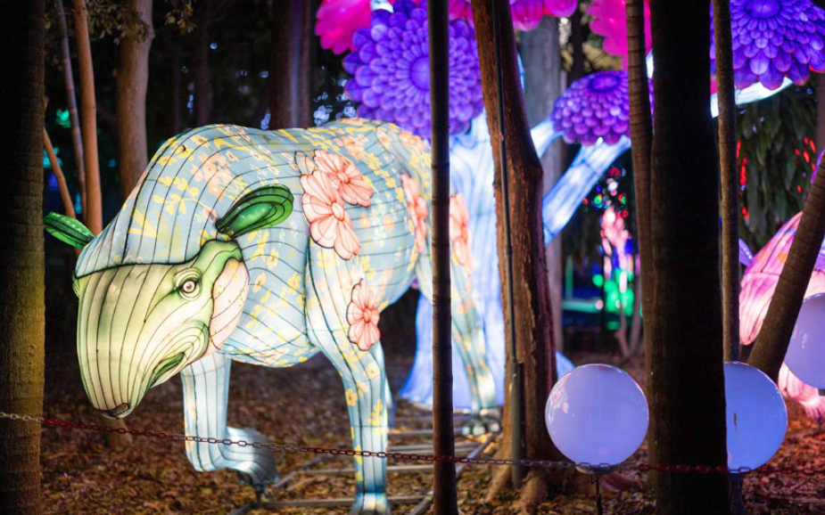 LUMINOSA REGRESA POR SU 3ª EDICIÓN CON NUEVAS EXHIBICIONES Y UN PUEBLO NAVIDEÑO
