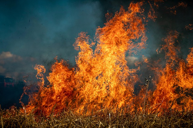 INCENDIO EN LOS EVERGLADES GENERA ALERTAS SOBRE EL IMPACTO ECONÓMICO Y LOGÍSTICO PARA EL SUR DE FLORIDA